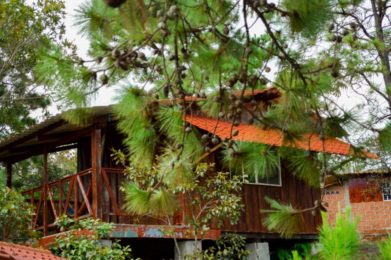 Hotel Y Restaurante Las Margaritas Perquín 外观 照片